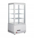 Vitrina expositora vertical 78 l